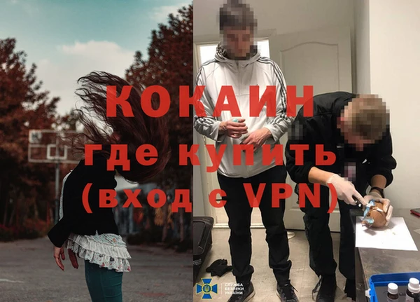 гидра Вязники