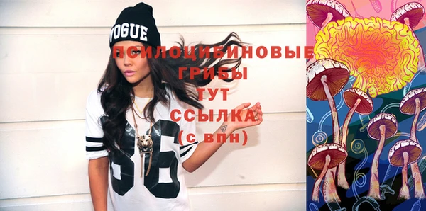 ПСИЛОЦИБИНОВЫЕ ГРИБЫ Верхний Тагил