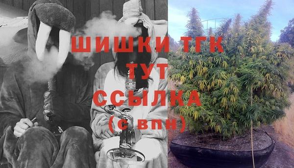 ПСИЛОЦИБИНОВЫЕ ГРИБЫ Верхний Тагил