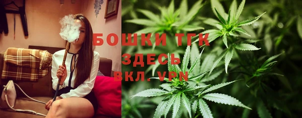 ПСИЛОЦИБИНОВЫЕ ГРИБЫ Верхний Тагил